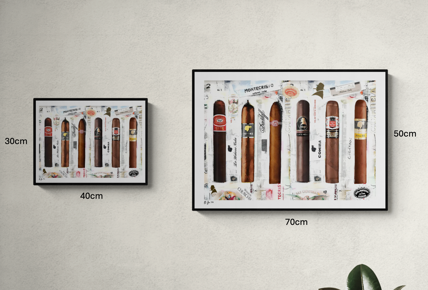 Cigars