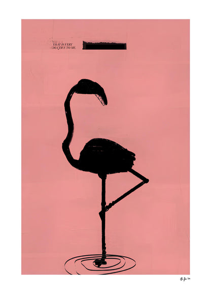 Flamingo